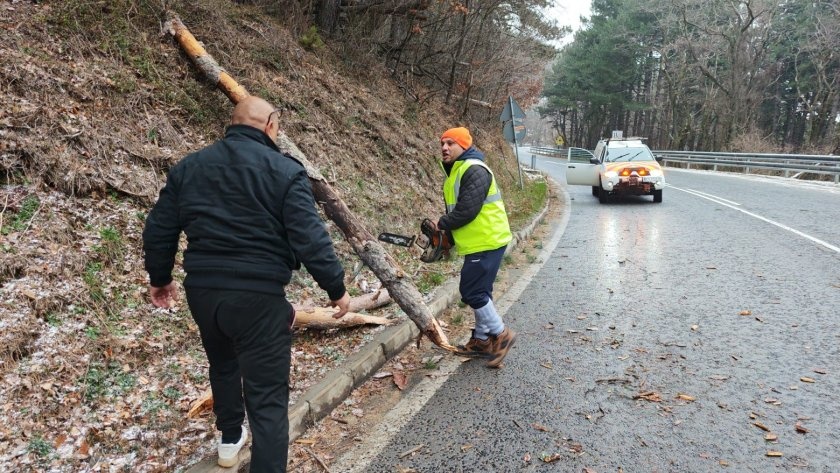 Бурен вятър връхлетя Старозагорска област, десетки сигнали за щети