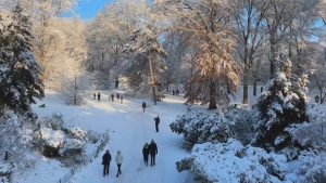 Първият сняг донесе радост в Ню Йорк