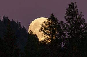 Януари 2026: Суперлуна и метеорен поток Квадрантиди в синхрон