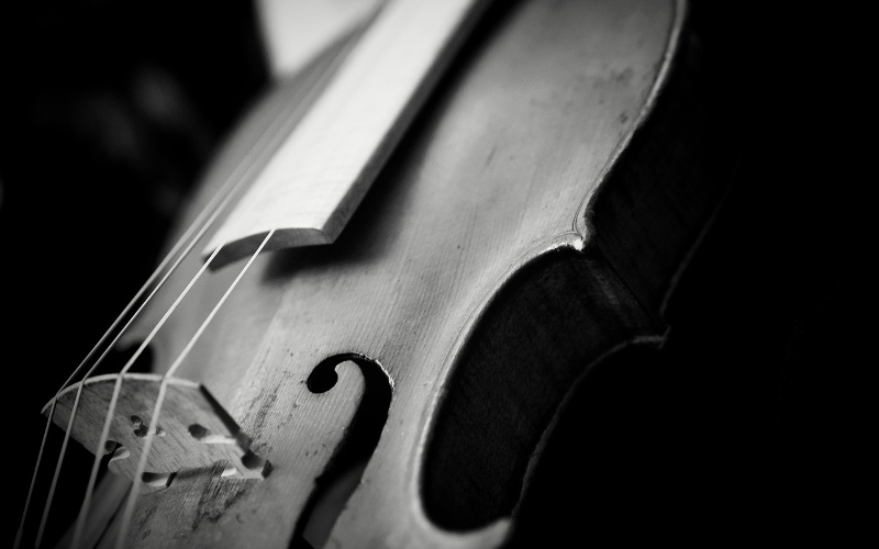 Рядка цигулка на Гуарнери дел Джезу на търг в Париж: Очаквана цена от 2 милиона евро