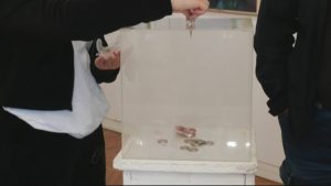 Бургас събира средства за концертен роял: Изложба и дарения подкрепят НУМСИ „Проф. Панчо Владигеров“