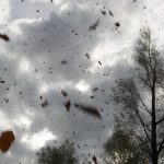 Шест аварийни екипа работят в София заради силния вятър, оранжев код в 12 области