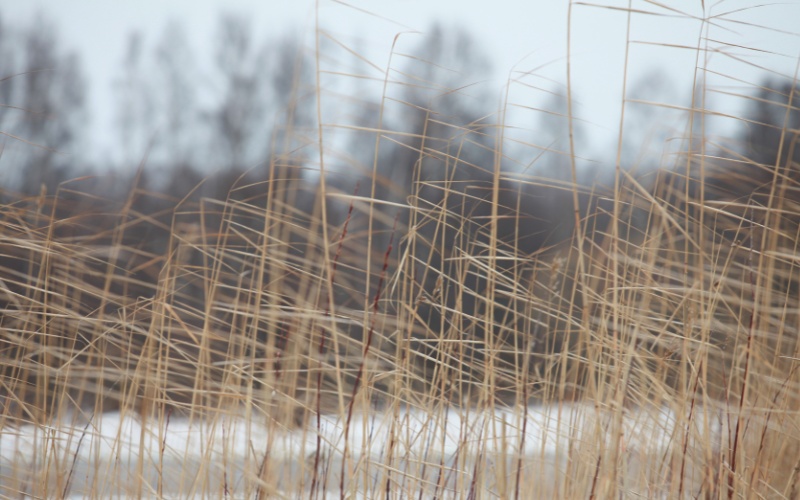 Сливен под удара на 100 км/ч вятър, оранжев код за 12 области