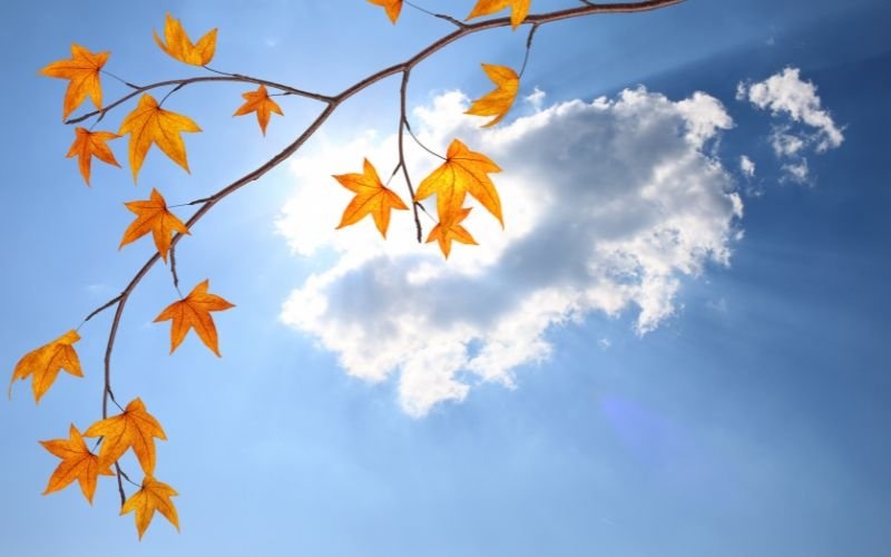 Слънце след мъгли: температури до 15° днес