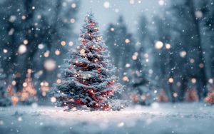 Снежна Коледа в планините, температури до -10° преди Нова година