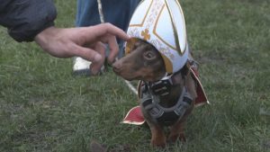 Стотици дакели превзеха Хайд Парк за коледна разходка