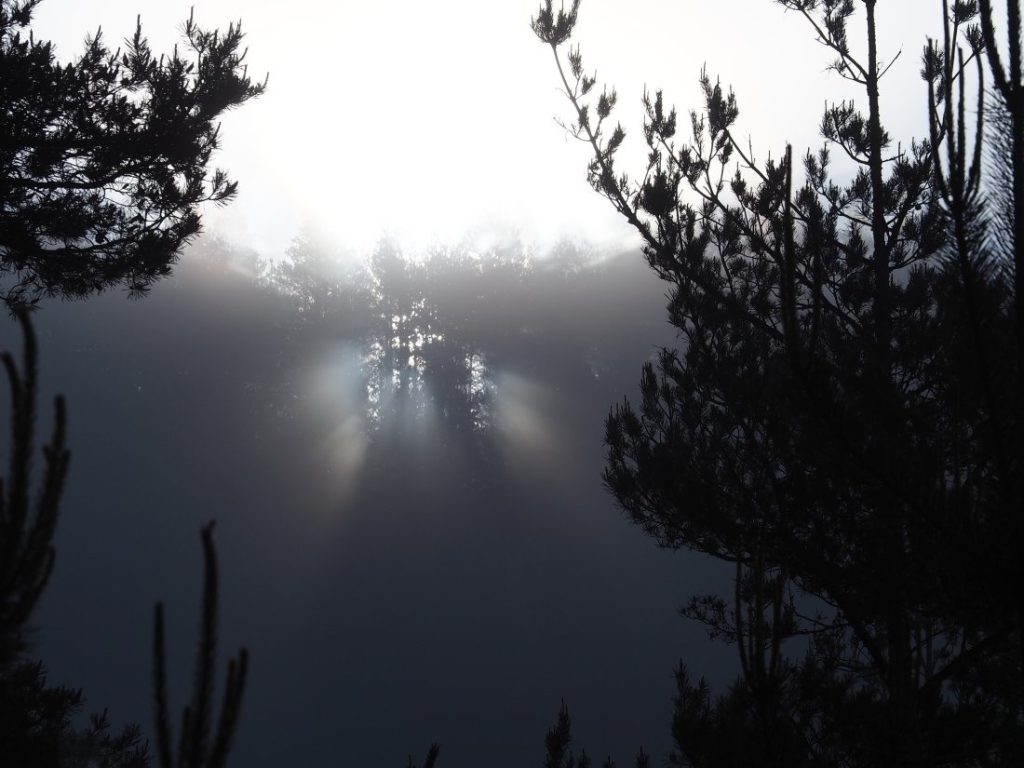 Мъглива сутрин и слънчев следобед: Прогноза за времето в България