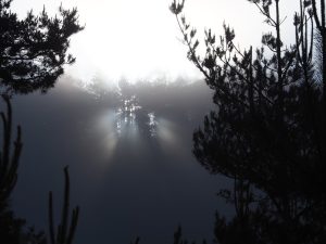 Мъглива сутрин и слънчев следобед: Прогноза за времето в България