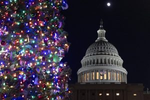 Коледната елха на Капитолия грейна за празниците