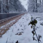 АПИ призовава: Подгответе колите за зимни условия, очакват се снеговалежи и засилен трафик