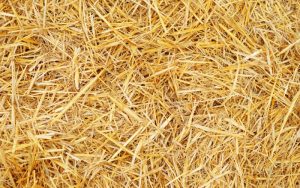 Училища в Одеска област се топлят със слама на фона на руските атаки