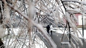 Времето утре: Спират валежите, вятърът стихва, жълт код за студ в Северна България