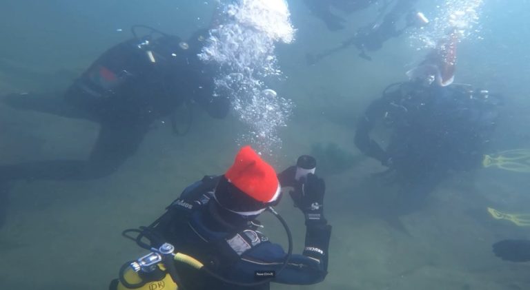 Коледно гмуркане: Водолази в Бургас посрещат празника под вода Коледно гмуркане: Водолази в Бургас посрещат празника под вода