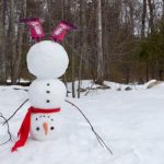 Януари 2026: От -18° до 15° – Динамична зима с арктичен въздух и снеговалежи