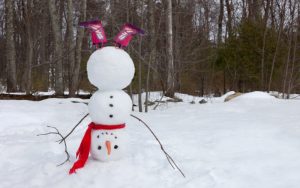 Януари 2026: От -18° до 15° – Динамична зима с арктичен въздух и снеговалежи