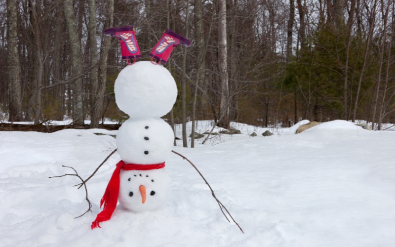 Януари 2026: От -18° до 15° – Динамична зима с арктичен въздух и снеговалежи