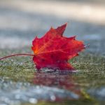 Застудяване и валежи обхващат страната: Сняг в Северна България и планините