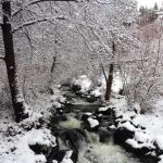 Застудяването продължава: Обилни снеговалежи и виелици обхващат страната