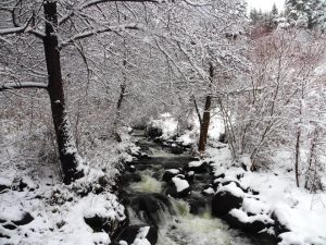 Застудяването продължава: Обилни снеговалежи и виелици обхващат страната