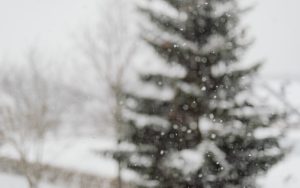 Жълт код за студено време в 10 области на Северна България