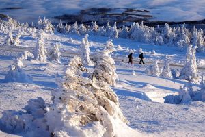 Ръст на инцидентите в планината: ПСС отчита 17% повече пострадали през 2025 г.