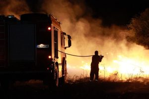 България сред най-засегнатите от горски пожари в ЕС през 2024 г., очаква се рекордна 2025 г.