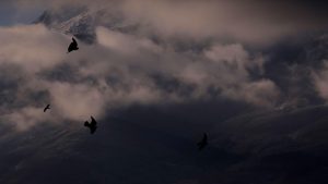 Жълт код за силен вятър в цялата страна, оранжев в 12 области