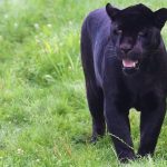 Топ 3 регионални новини на 2025 г.: Трагедии и спасени животи