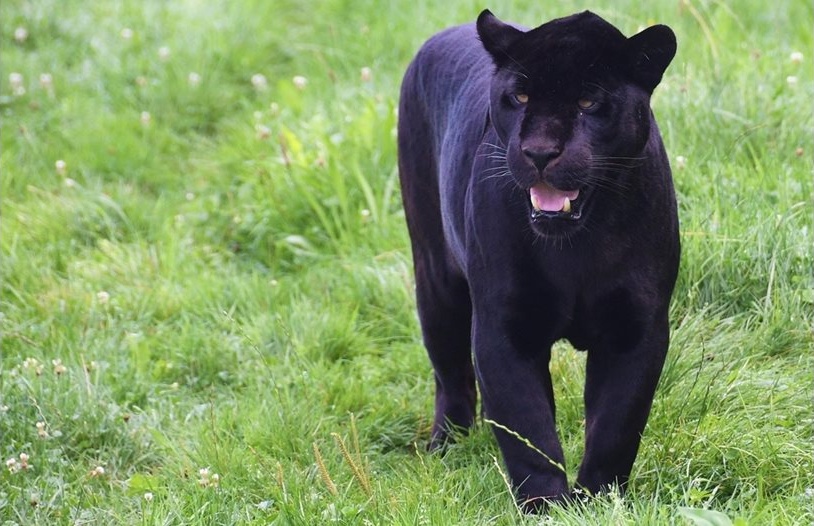 Топ 3 регионални новини на 2025 г.: Трагедии и спасени животи