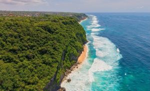 Японски учени: Революция в производството на биопластмаса от бактерии