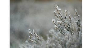 Януари носи сняг и дъжд: Застудяване обхваща България на 10 януари