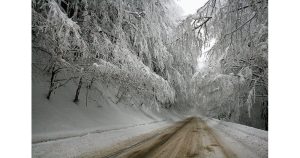 Пътищата в Ловешко: Опесъчени и проходими въпреки зимните условия