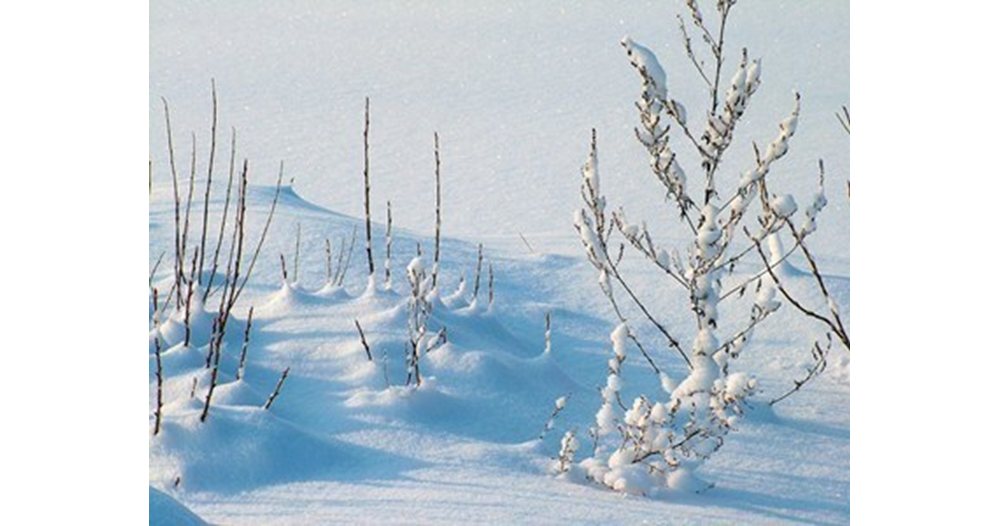Висока лавинна опасност и слаба видимост в планините: ПСС предупреждава
