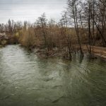 Намериха тяло на изчезнал мъж в Бранковска река