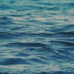 Турция планира удвояване на добива на газ от Черно море до 2026 г.