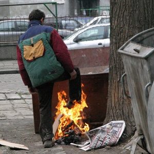 Приютът във Варна спасява бездомни от студа, работи на пълен капацитет