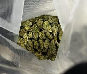 Над 20 кг канабис задържани на Капъкуле при опит за внос в България