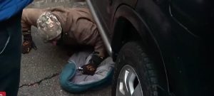 Мъж спи под колата си, за да пази регистрационни табели от крадци