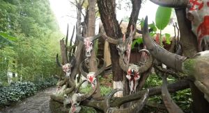 Потопете се в културата на етноса Уа: Пътешествие в Юнан