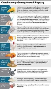Глобален пробив: Три завода в Разград изнасят продукция на шест континента