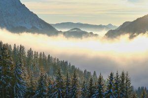 Пролетни температури и мъгли на 28 януари: Дъжд и сняг идват през нощта