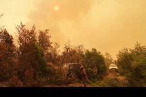 Извънредно положение в Аржентина: Опустошителни пожари изпепеляват Патагония