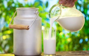 КЗК алармира: 25% спад в млекопроизводството, вносът расте с 43%