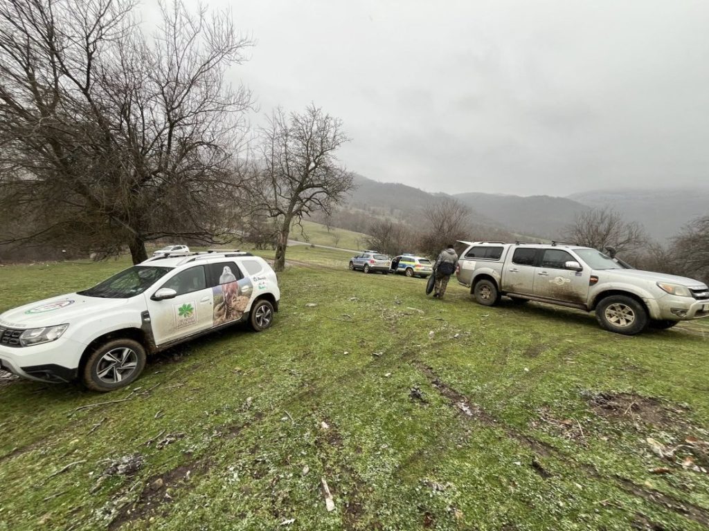 Четири черни лешояда открити мъртви край Котел: Съмнения за отравяне