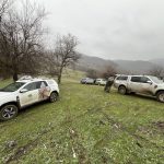 Четири черни лешояда открити мъртви край Котел: Съмнения за отравяне