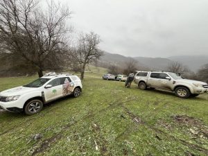 Четири черни лешояда открити мъртви край Котел: Съмнения за отравяне