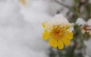 Прогноза за февруари 2026: Динамично време с температури до 23 градуса