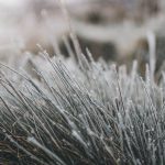 Жълт код за силен южен вятър в събота – температури до 18° и валежи