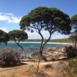 „Космически часовник“ разкрива древна история и бъдещето на земните ландшафти