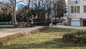 Над 15 сигнала за аварии, причинени от силен вятър, обработиха пожарникарите в Перник